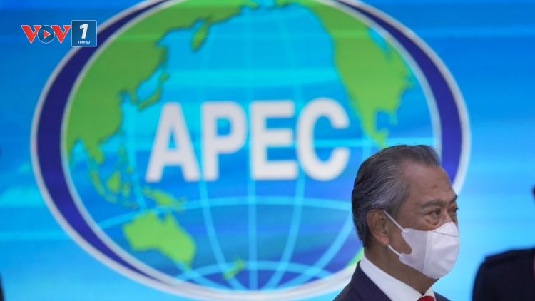 APEC: Thương mại mở và tự do đối phó với tác động của Covid-19 (23/11/2020)