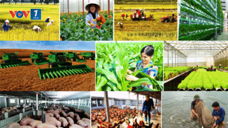 Giải pháp thu hút doanh nghiệp đầu tư để tái cơ cấu ngành nông nghiệp (14/11/2020)