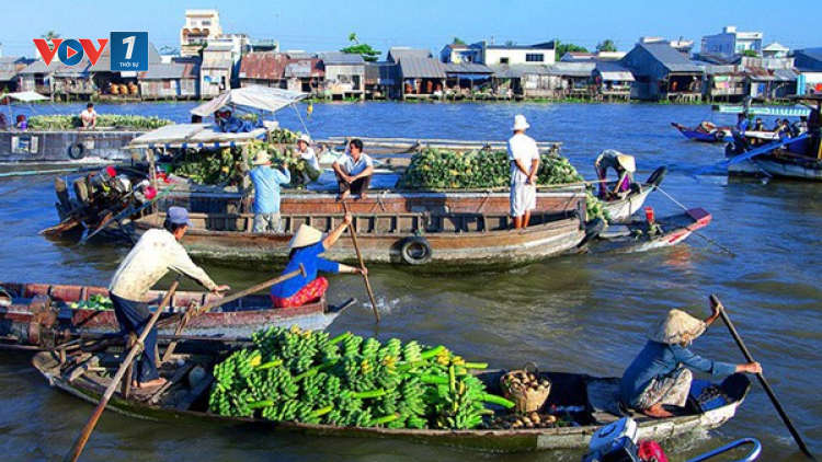 Đồng bằng sông Cửu Long - thích ứng để phát triển (11/11/2020)