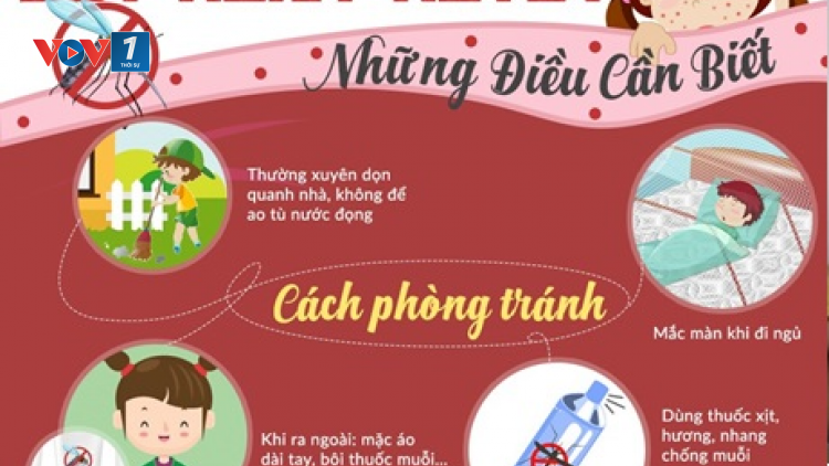 Sốt xuất huyết bùng phát: Người dân không được chủ quan (Ngày 15/11/2020)