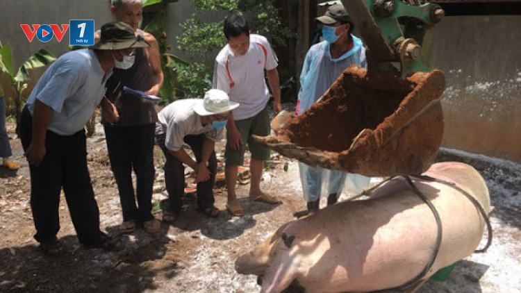 "Vững” truyền thống công binh hải quân (05/11/2020)