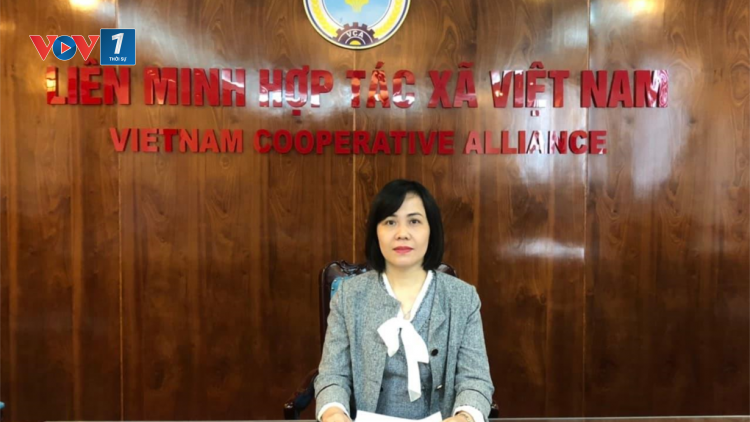 Mô hình Hợp tác xã kiểu mới khơi dậy sức mạnh tập thể trong phát triển kinh tế (11/12/2020)