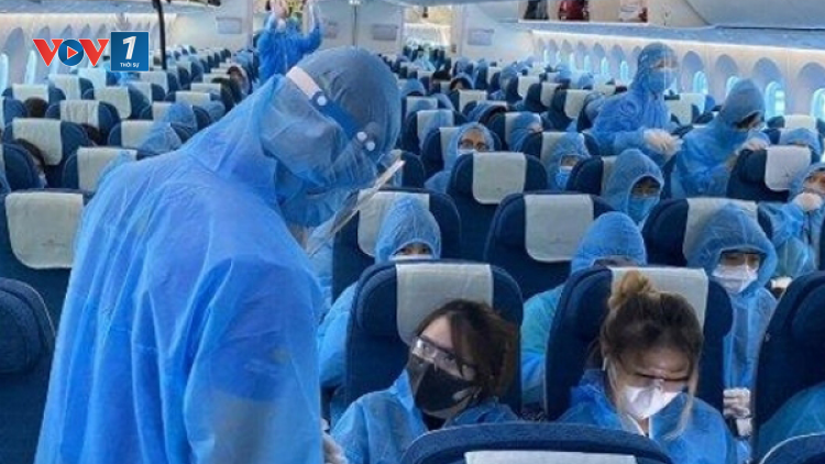 Vì sao nhiều tiếp viên hàng không nhiễm Covid-19? (7/12/2020)