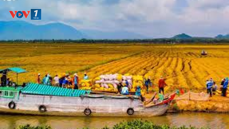 Quy hoạch vùng trong nông nghiệp: Góc nhìn của đại biểu Quốc hội (07/12/2020)
