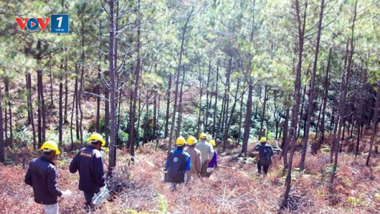 Gia Lai: Vì sao tỷ lệ che phủ rừng chênh lệch hơn 6%? (10/12/2020)