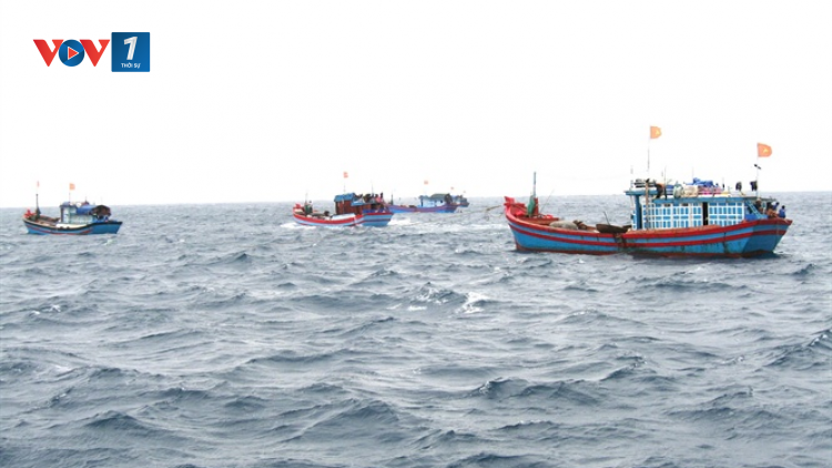 Tổ đội, nghiệp đoàn hỗ trợ ngư dân vươn khơi đảm bảo an toàn ( 4/12/2020)