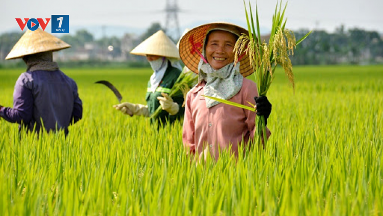 Kiên quyết khắc phục tiêu cực, vận động không lành mạnh.