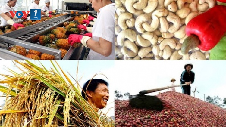 11 tháng năm 2020: xuất khẩu gạo và lâm sản vực dậy tăng trưởng ngành Nông nghiệp (14/12/2020)
