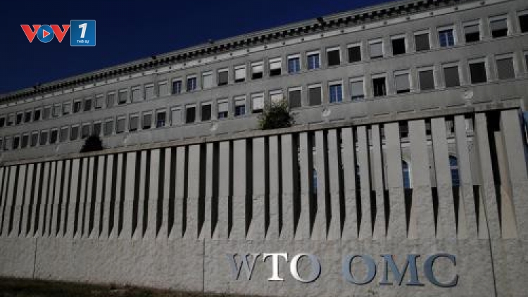 WTO công bố chỉ số triển vọng thương mại toàn cầu mới (20/2/2020)