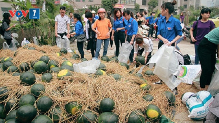 Làm sao để không cần "giải cứu nông sản"? (17/2/2020)