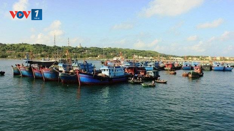 Bạch Long Vỹ - Trung tâm hậu cần nghề cá ở Vịnh Bắc Bộ (17/2/2020)