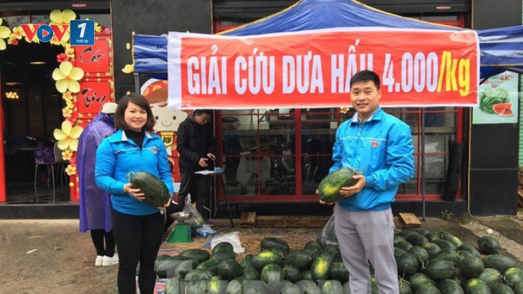 Tiêu thụ nông sản: Để không còn phải "giải cứu" (13/2/2020)