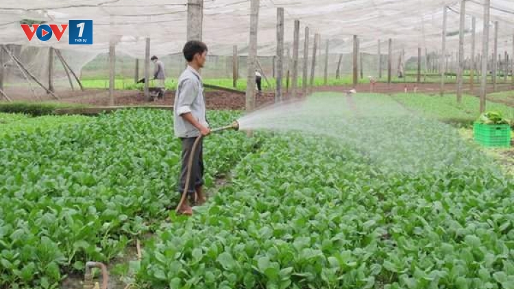 Động lực nào tạo nên sự bứt phá cho nông nghiệp 2020?