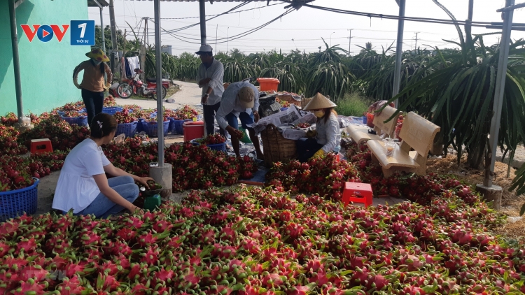 Dịch Covid -19 và giải pháp cho nông sản Việt (13/2/2020)