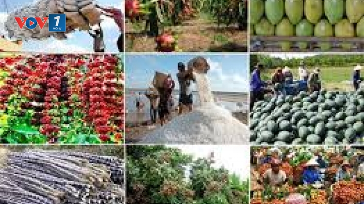 Tránh những "giấc mơ con" trong xuất khẩu nông sản (18/2/2020)