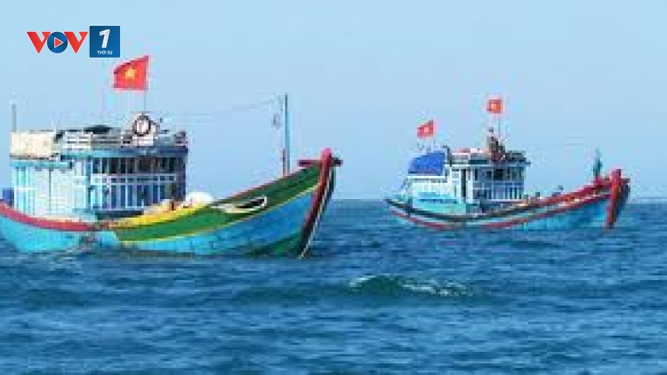 Hiệu quả của đường dây nóng xử lý các vấn đề về nghề cá phát sinh trên biển giữa Việt Nam và các nước (16/3/2020)
