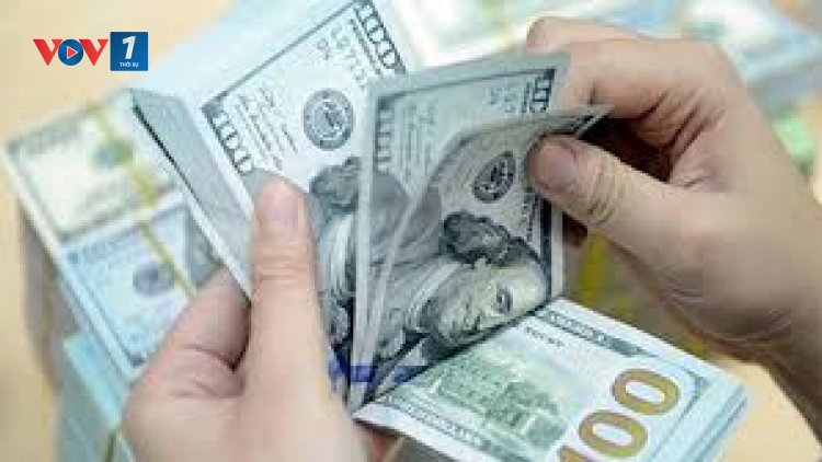 Giá đô la Mỹ tăng vọt, không xuất hiện đầu cơ (26/3/2020)
