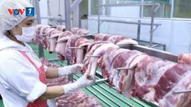 THỜI SỰ 18H CHIỀU 21/3/2020: Thủ tướng yêu cầu Bộ Nông nghiệp  và Phát triển nông thôn, Bộ Công thương kiên quyết giảm giá thịt lợn xuống mức dưới 60.000 đồng/kg.