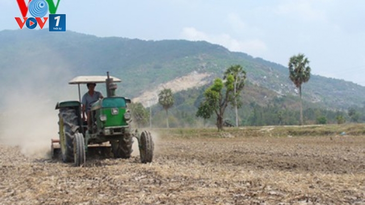 Đồng bằng sông Cửu Long: Giải pháp ứng phó hạn mặn, bảo vệ cây trồng (17/3/2020)