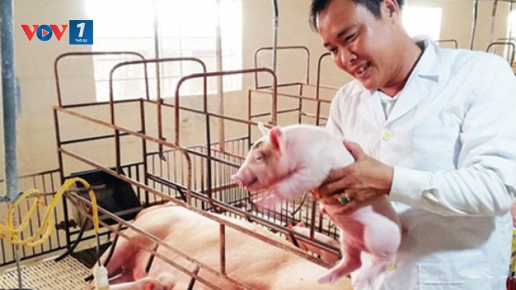 Triển khai Luật chăn nuôi và những điểm nghẽn cần khắc phục (6/3/2020)
