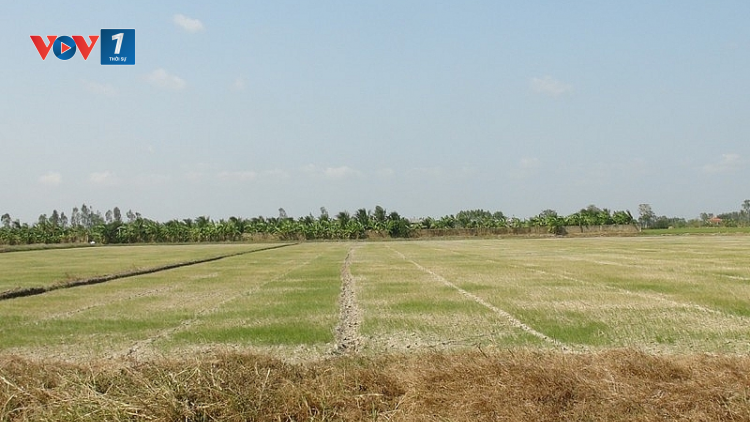 Giải pháp ứng phó với hạn mặn kỷ lục ở ĐBSCL (7/4/2020)