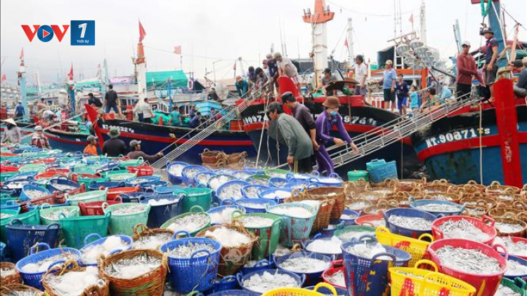 Ngành thuỷ sản thay đổi để thích ứng (1/4/2020)