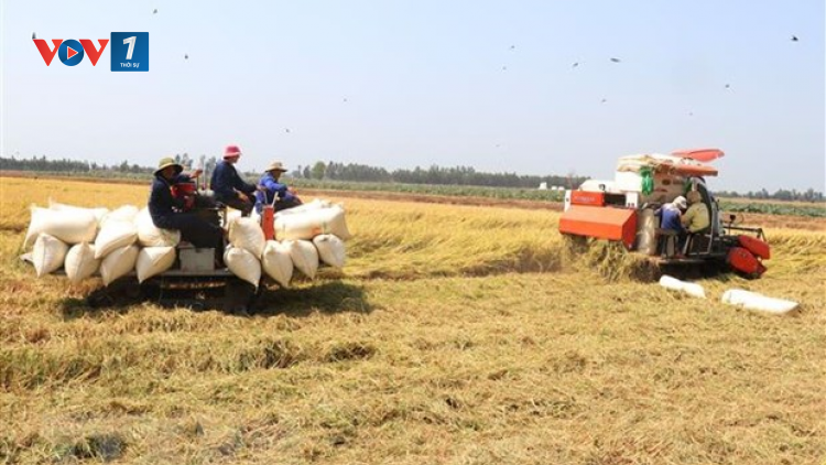 Khôi phục sản xuất nông nghiệp – trụ đỡ cho kinh tế đất nước (21/5/2020)