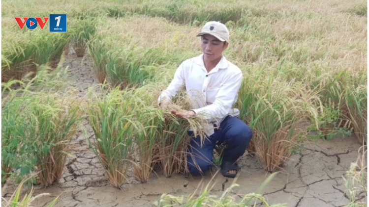 Lời giải cho “cơn khát” nước sinh hoạt trong mùa khô tại Trung Bộ và Tây Nguyên (8/5/2020)
