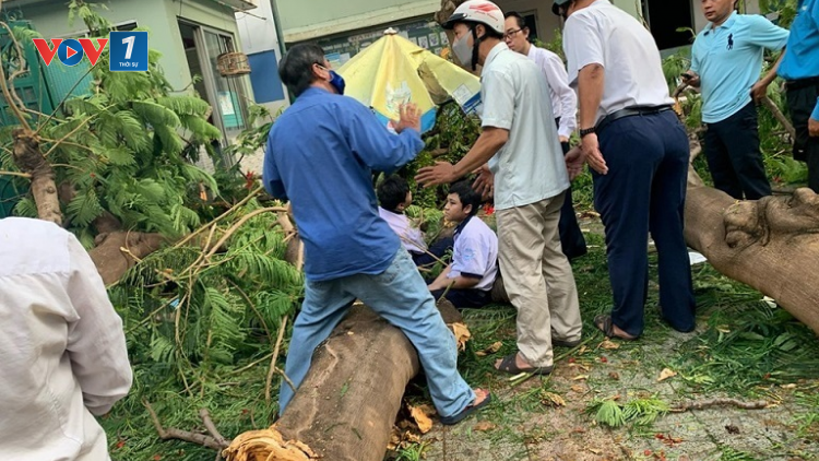 THỜI SỰ 18H CHIỀU 26/5/2020: Sau tai nạn cây đổ tại trường học ở T.PHCM làm 1 học sinh thiệt mạng và 12 em bị thương, Bộ trưởng Bộ Giáo dục và đào tạo yêu cầu tăng cường công tác đảm bảo an toàn trường học