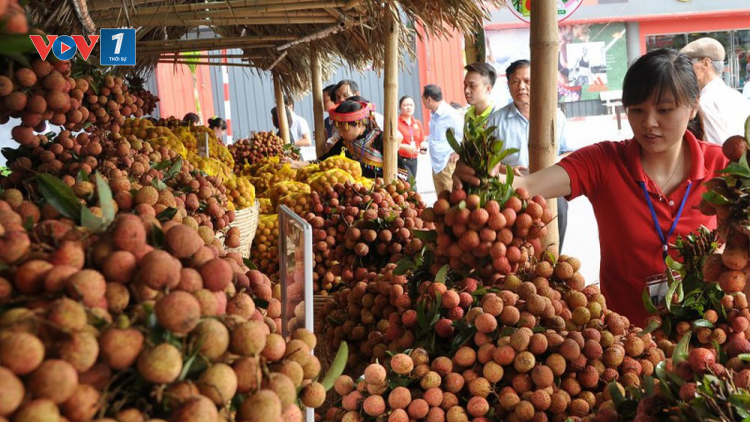 Vải thiều và bài học tìm đầu ra cho nông sản (9/6/2020)