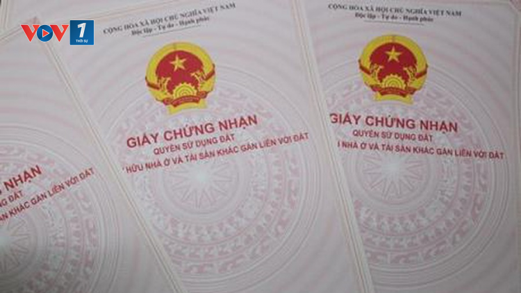 Các hộ dân làm kinh tế mới ở Nghệ An, mòn mỏi chờ Giấy chứng nhận quyền sử dụng đất (8/6/2020)