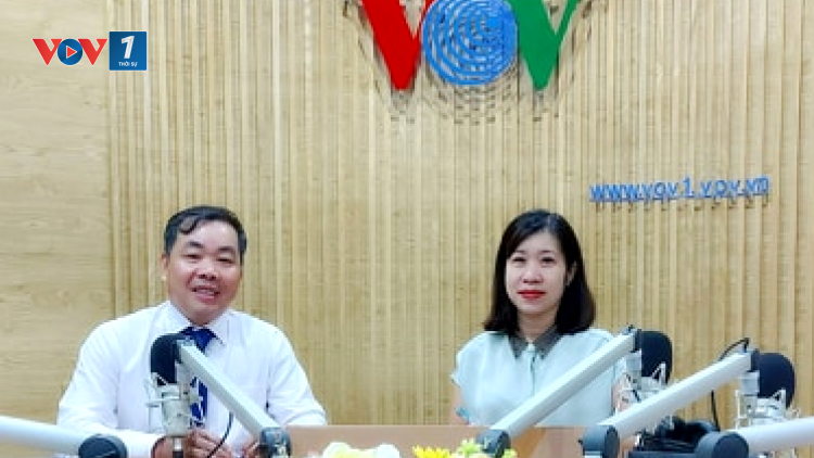 Vì sao doanh nghiệp khó vay tiền từ gói 62.000 tỷ đồng? (15/6/2020)