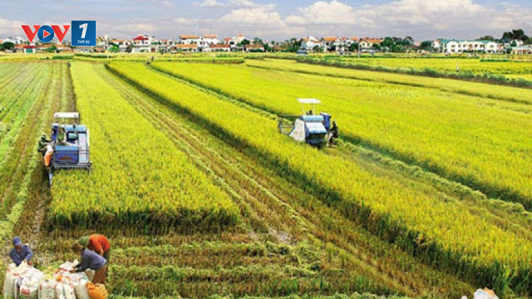 THỜI SỰ 18H CHIỀU 10/6/2020: Quốc hội đồng ý kéo dài thời gian miễn thuế đất nông nghiệp thêm 5 năm, tới năm 2025
