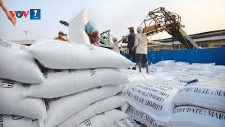 THỜI SỰ 18H CHIỀU 8/6/2020: Thị trường xuất khẩu gạo của Việt Nam có nhiều khởi sắc khi giá bán cao hơn so với cùng kỳ nhiều năm.