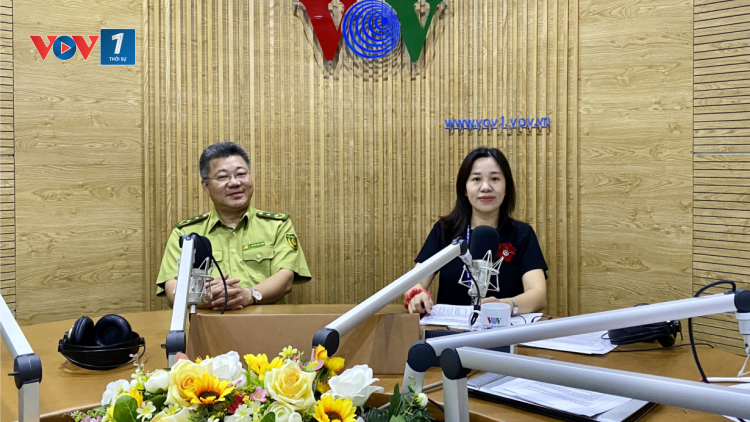 Phòng cháy, chữa cháy rừng làm sao để hiệu quả? (16/7/2020)