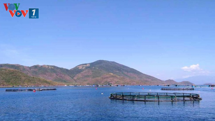 Các lực lượng cùng ngư dân vươn khơi bám biển (20/7/2020)