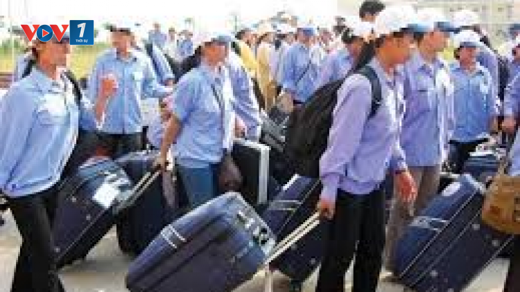 Luật Người lao động Việt Nam đi làm việc ở nước ngoài: cần nâng cao trách nhiệm của đơn vị đưa người đi lao động (15/7/2020)