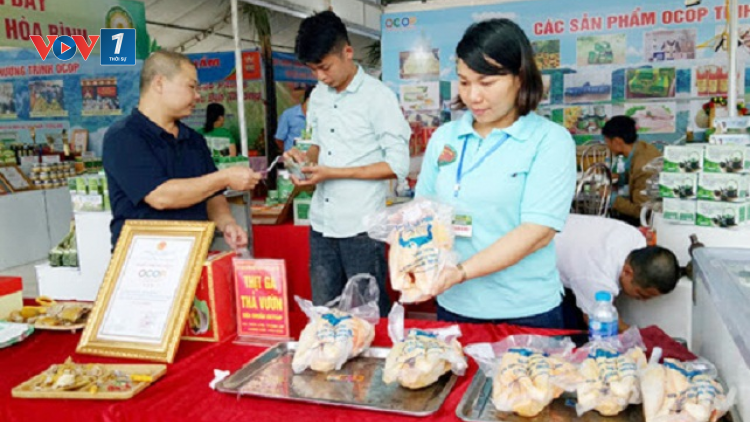 Vai trò của hợp tác xã trong chương trình phát triển mỗi xã một sản phẩm (11/7/2020)