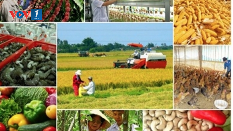 6 tháng năm 2020, ngành nông nghiệp vẫn giữ được mức tăng trưởng dương (1/7/2020)