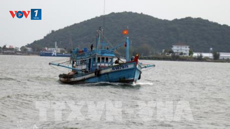 Tuyên truyền pháp luật để ngư dân nâng cao trách nhiệm khi khai thác trên biển (5/8/2020)
