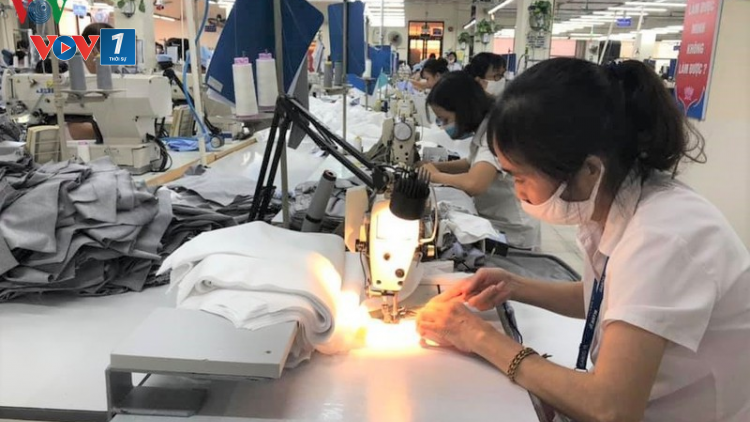 COVID-19: DN chấp nhận bị đào thải hay xoay sở để tồn tại (5/8/2020)