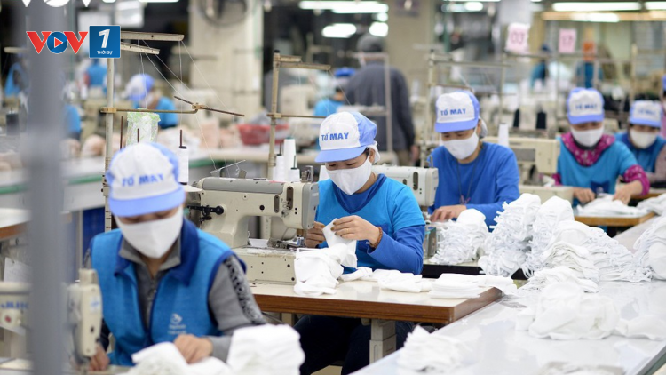 Doanh nghiệp dệt may - xoay xở trong đại dịch (25/8/2020)