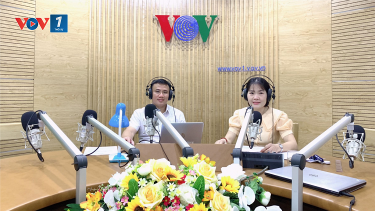 Cảng cá, khu neo đậu tàu thuyền và công tác quản lý nhằm gỡ thẻ vàng IUU cho thủy sản Việt Nam (23/8/2020)