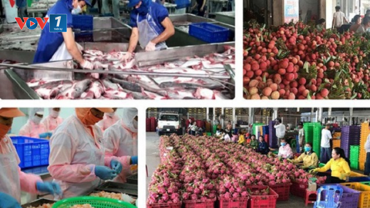 EVFTA: Cơ hội và thách thức cho nông sản Việt (3/8/2020)