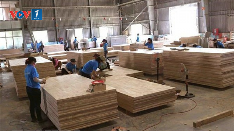 Hiệp định EVFTA và việc minh bạch nguồn gốc gỗ nguyên liệu (25/08/2020)