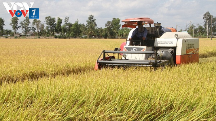Cách mạng tháng 8 và vị thế mới của người nông dân (19/08/2020)