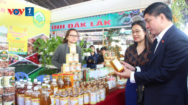 Đăk Lăk: Sản phẩm OCOP - bước đầu làm mới kinh tế nông thôn (10/9/2020)