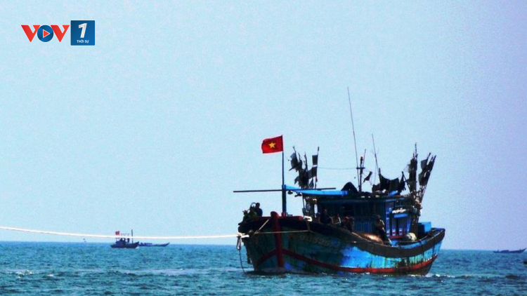 Các địa phương tăng cường xử lý tàu cá vi phạm khai thác…IUU (17+18/9/ 2020)