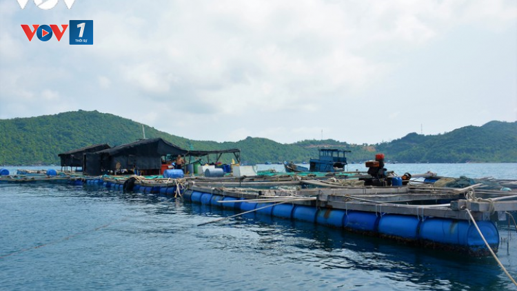 Các tỉnh miền Trung sẵn sàng sơ tán người dưới lồng bè (17/9/2020)