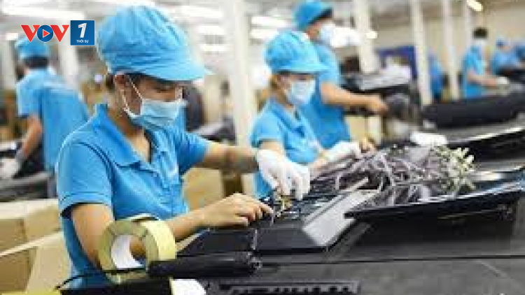 Hà Nội tăng cường hỗ trợ vốn vay cho người lao động hoàn cảnh khó khăn tiếp cận phát triển kinh tế gia đình